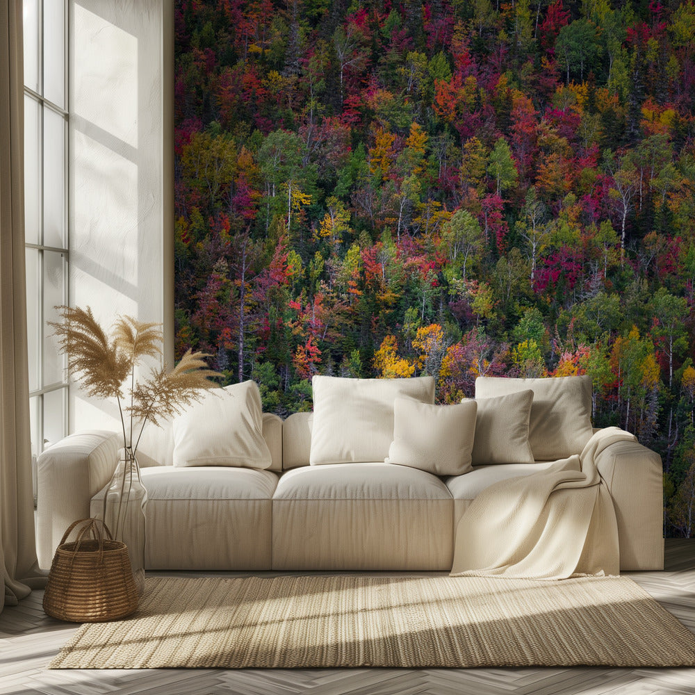Kleurenpalet | Behang