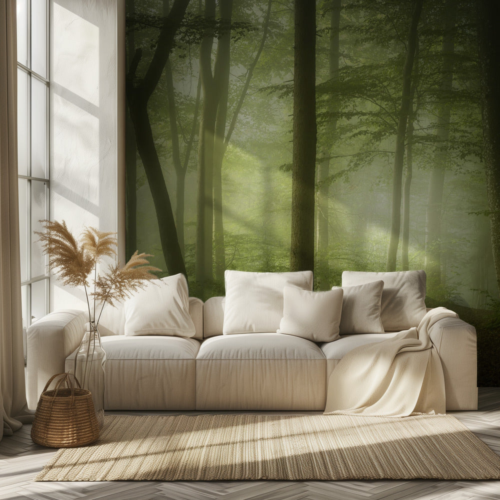 Mysterieuze lentemorgen | Behang