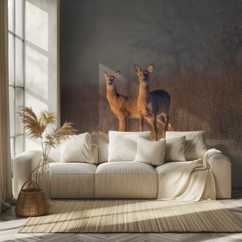 Drie Herten | Behang