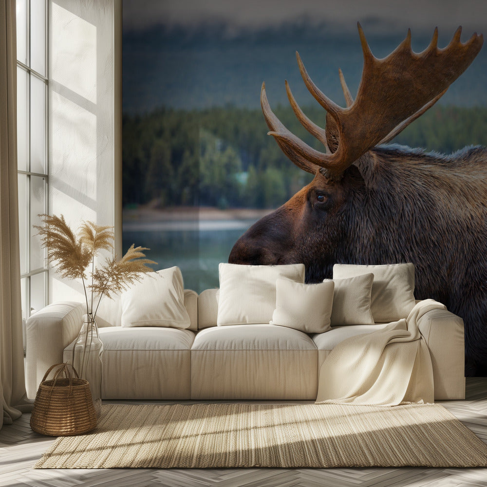 Eland | Behang