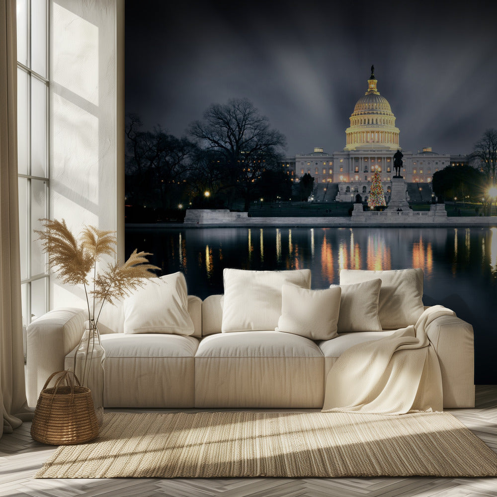 Capitol Hill | Behang
