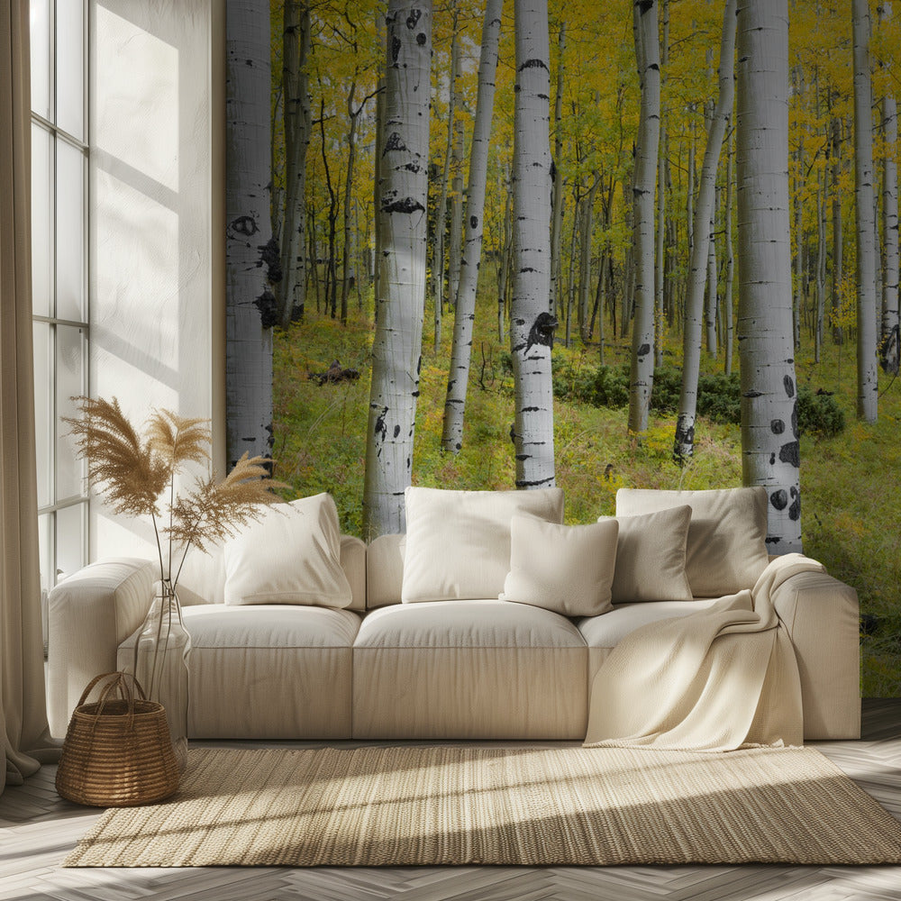 Gele berken | Behang