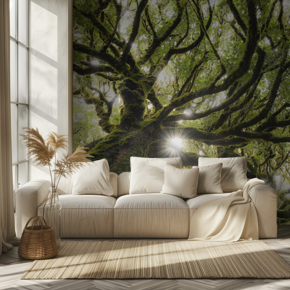 Groene Ster | Behang