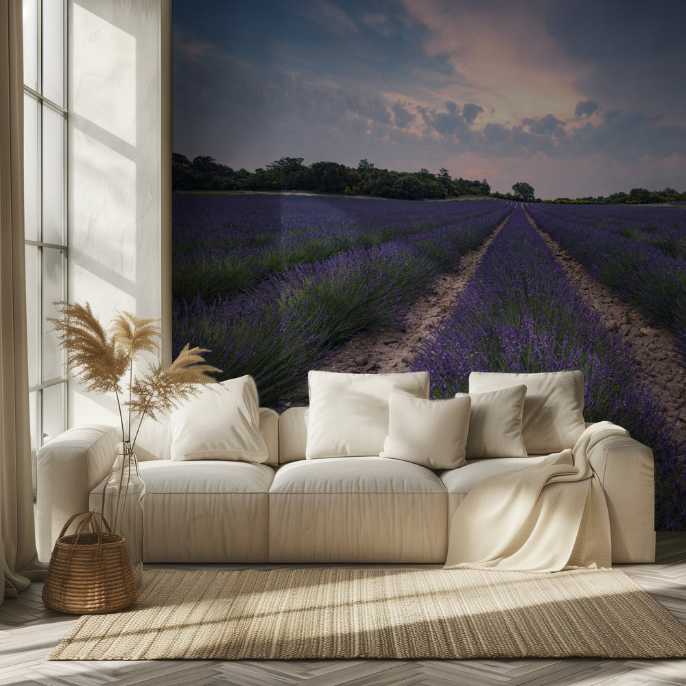 Blauwe Lavendel | Behang