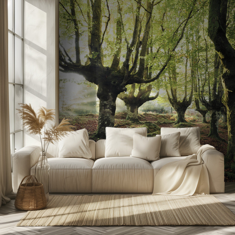 Magic Grove | Behang