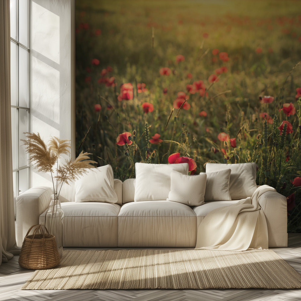 Poppy World III | Achtergrond