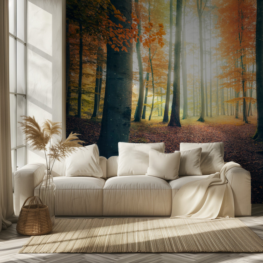Herfst in het bos | Behang