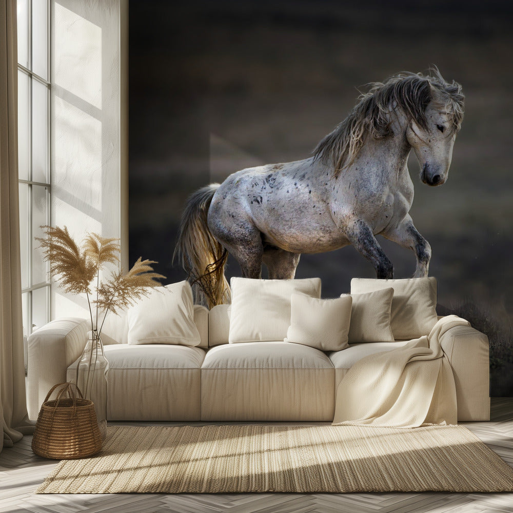 Mustang, wild paard / Equus ferus caballus | Behang