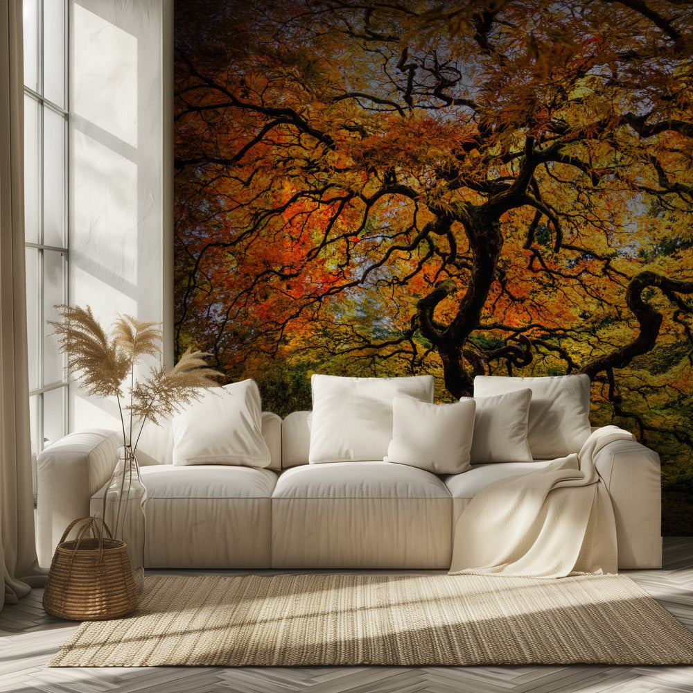 De esdoorn | Behang