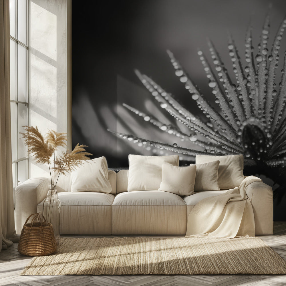Dewy Elegance | Wallpaper