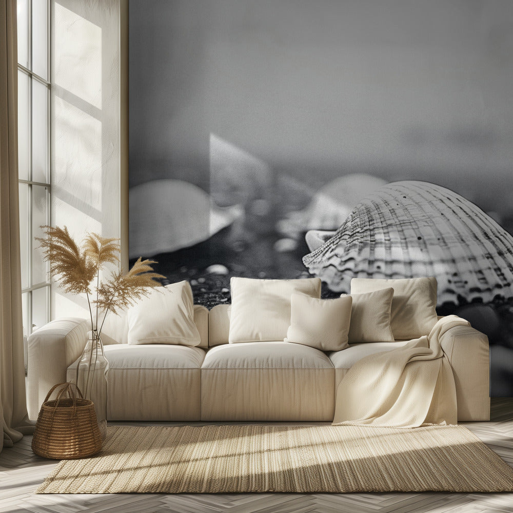 Seashell Serenity | Behang