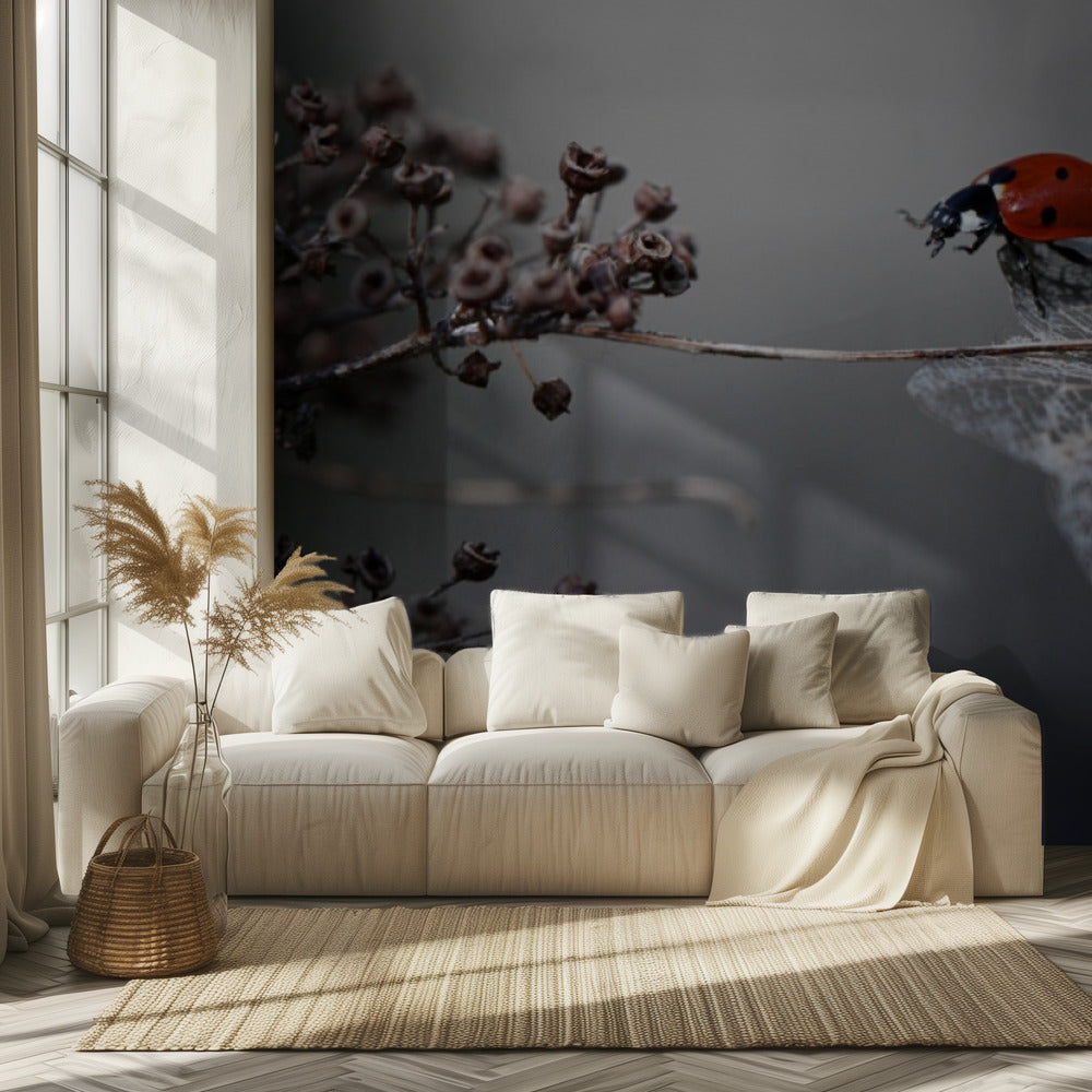 Lieveheersbeestje op hortensia. | Behang