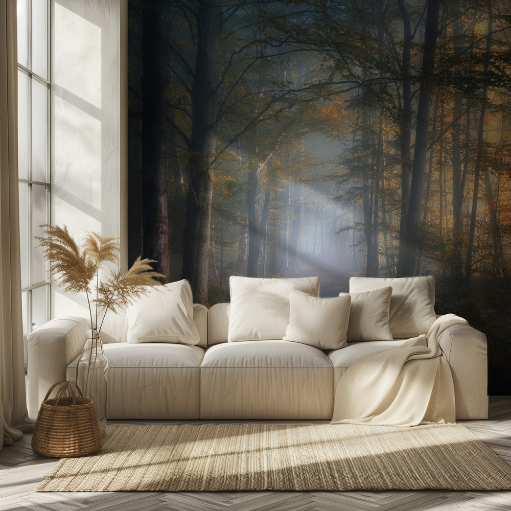 herfstsymfonie | Behang