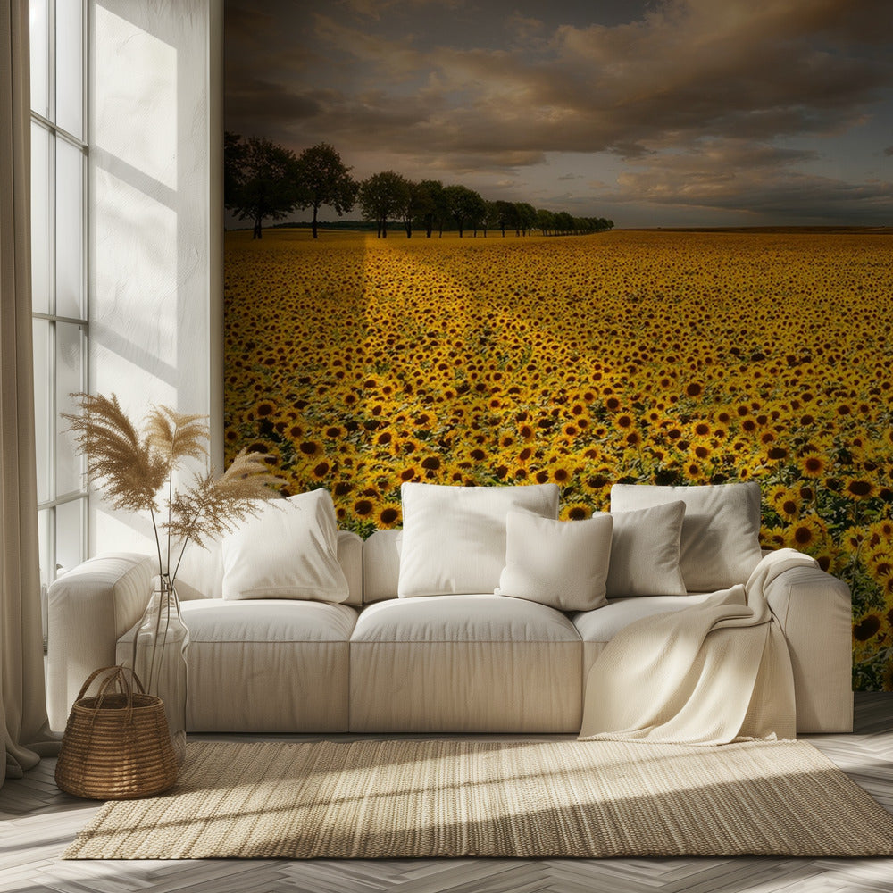 Zonnebloemen | Behang