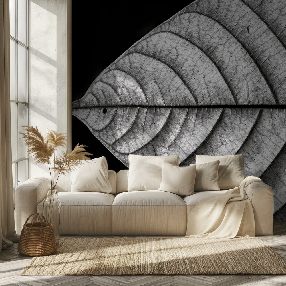 Droge vis | Behang