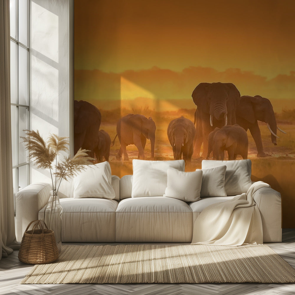 Gouden Licht | Behang