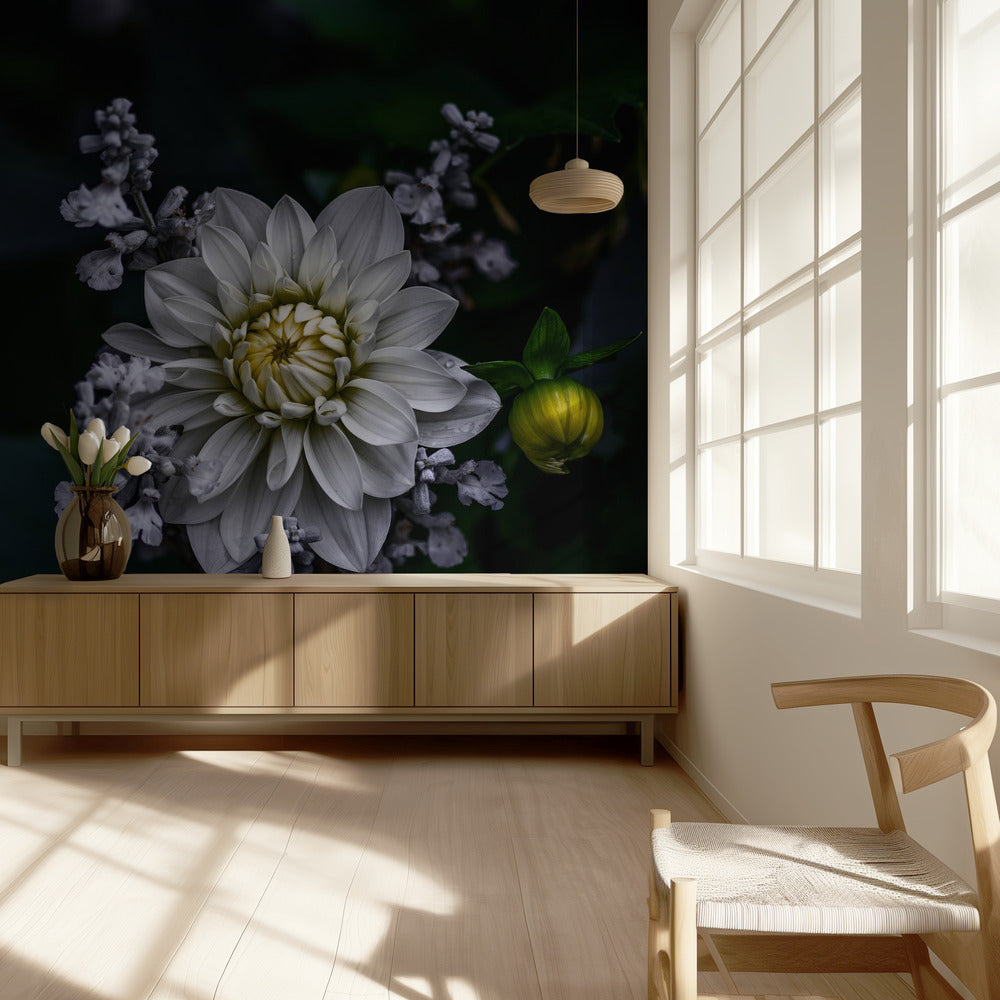 Dahlia bloem | Behang