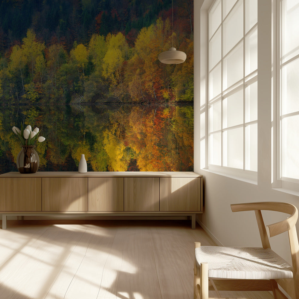 Herfststilte | Behang