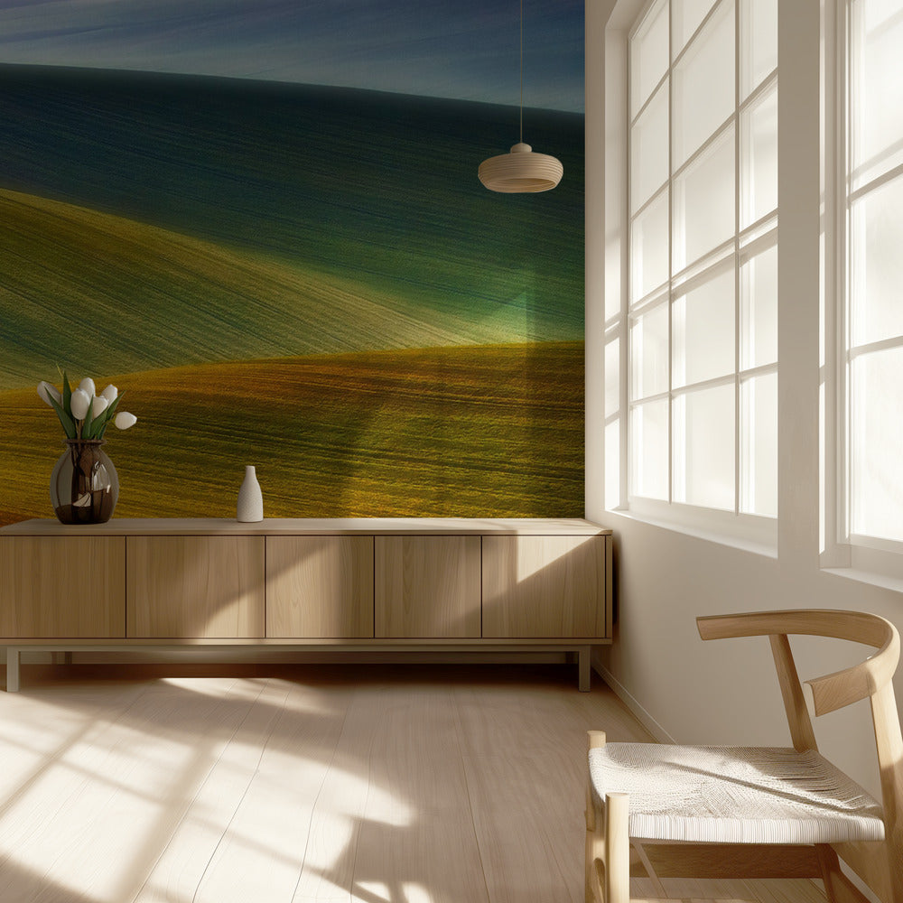 Lentevelden | Behang