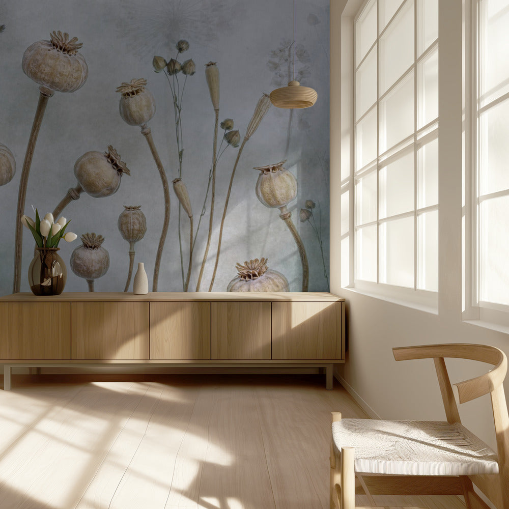 Papaver | Behang