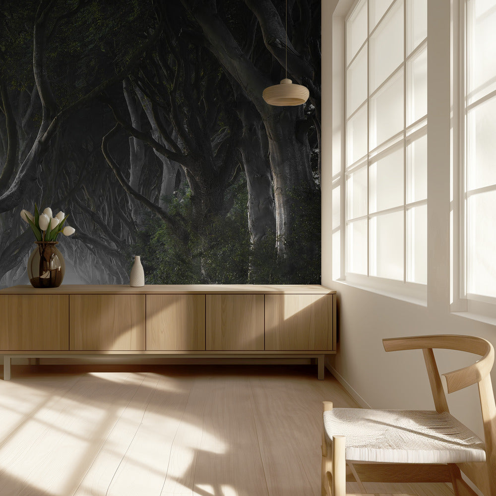DONKERE HAGEN | Behang