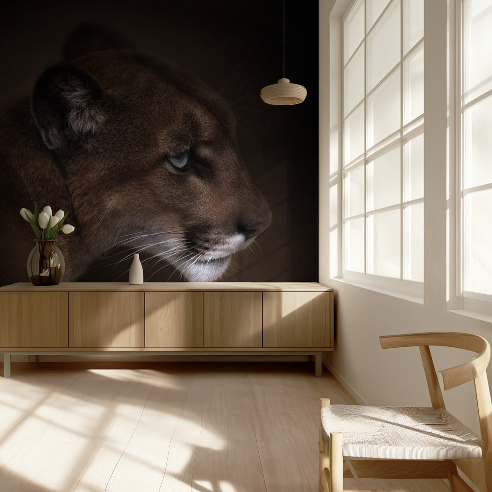Puma | Achtergrond