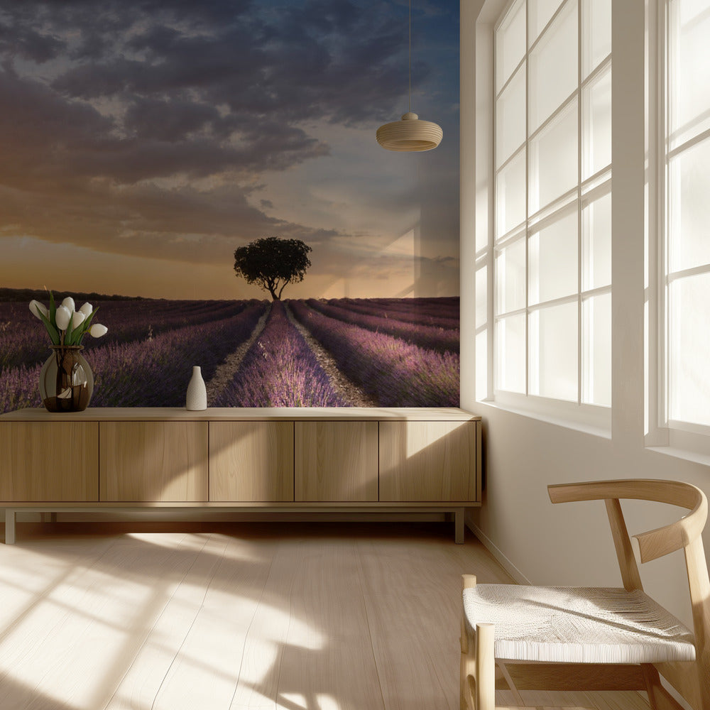 DESTINATION LAVENDEL | Behang