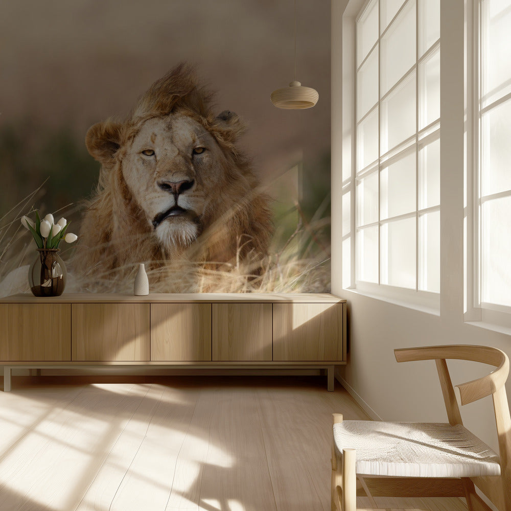 Knap! | Behang