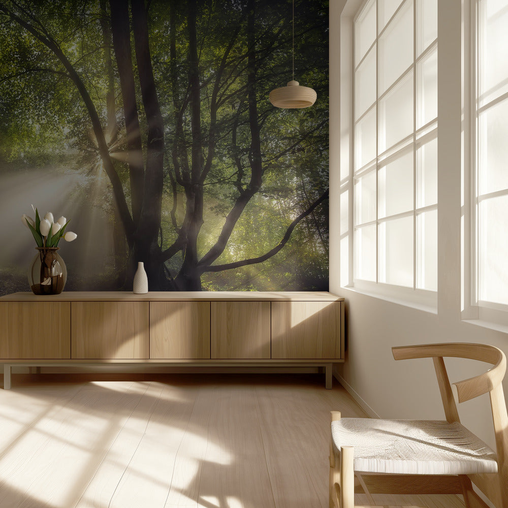 Het ochtendlicht | Behang