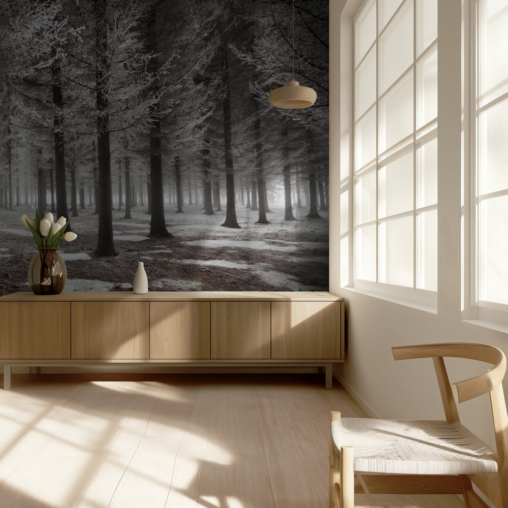 Het begin van de winter | Behang