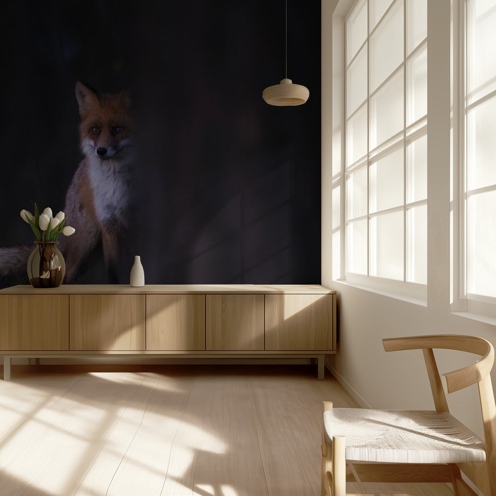 Blikken | Behang