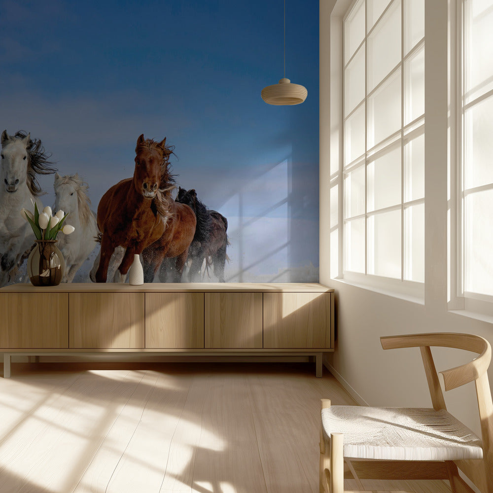 Mongoolse paarden | Achtergrond