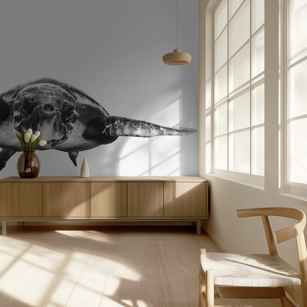 Wit en schildpad | Behang