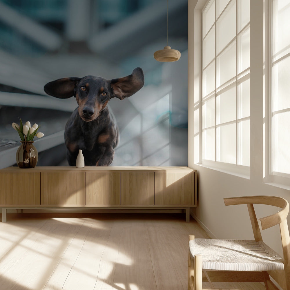 Een kleinere Hund läuft durch die Welt.... | Behang