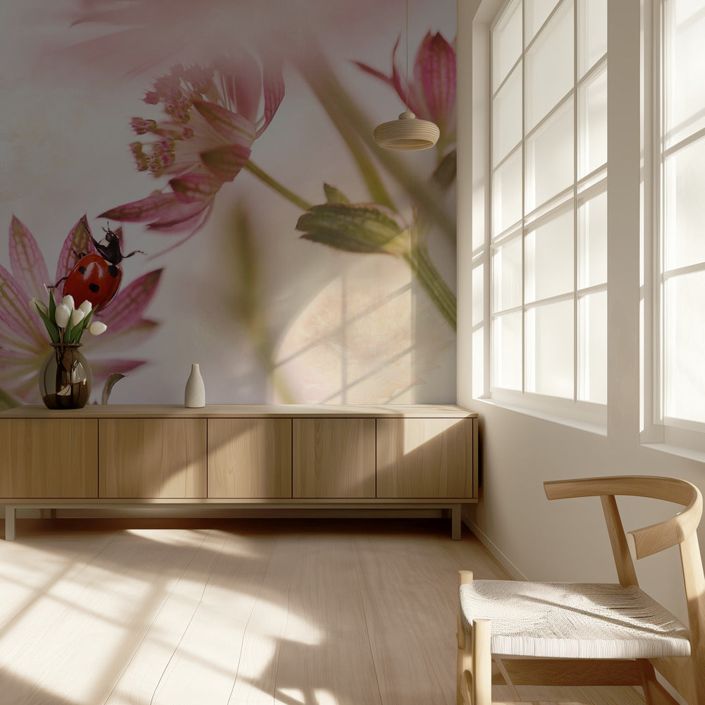 Lieveheersbeestje en roze bloemen | Behang