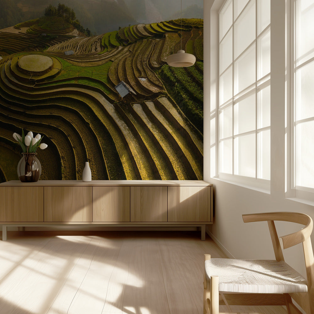 mu cang chai - Vietnam | Behang