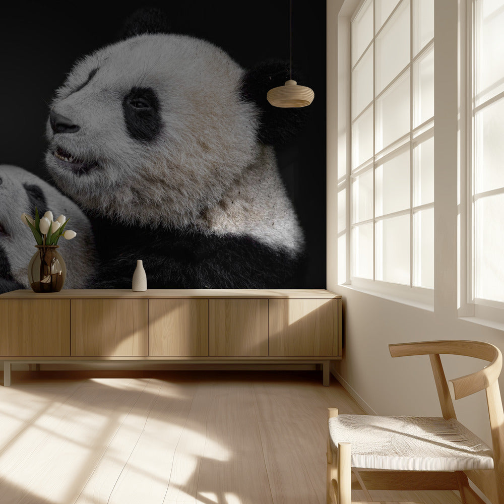 Panda's | Behang