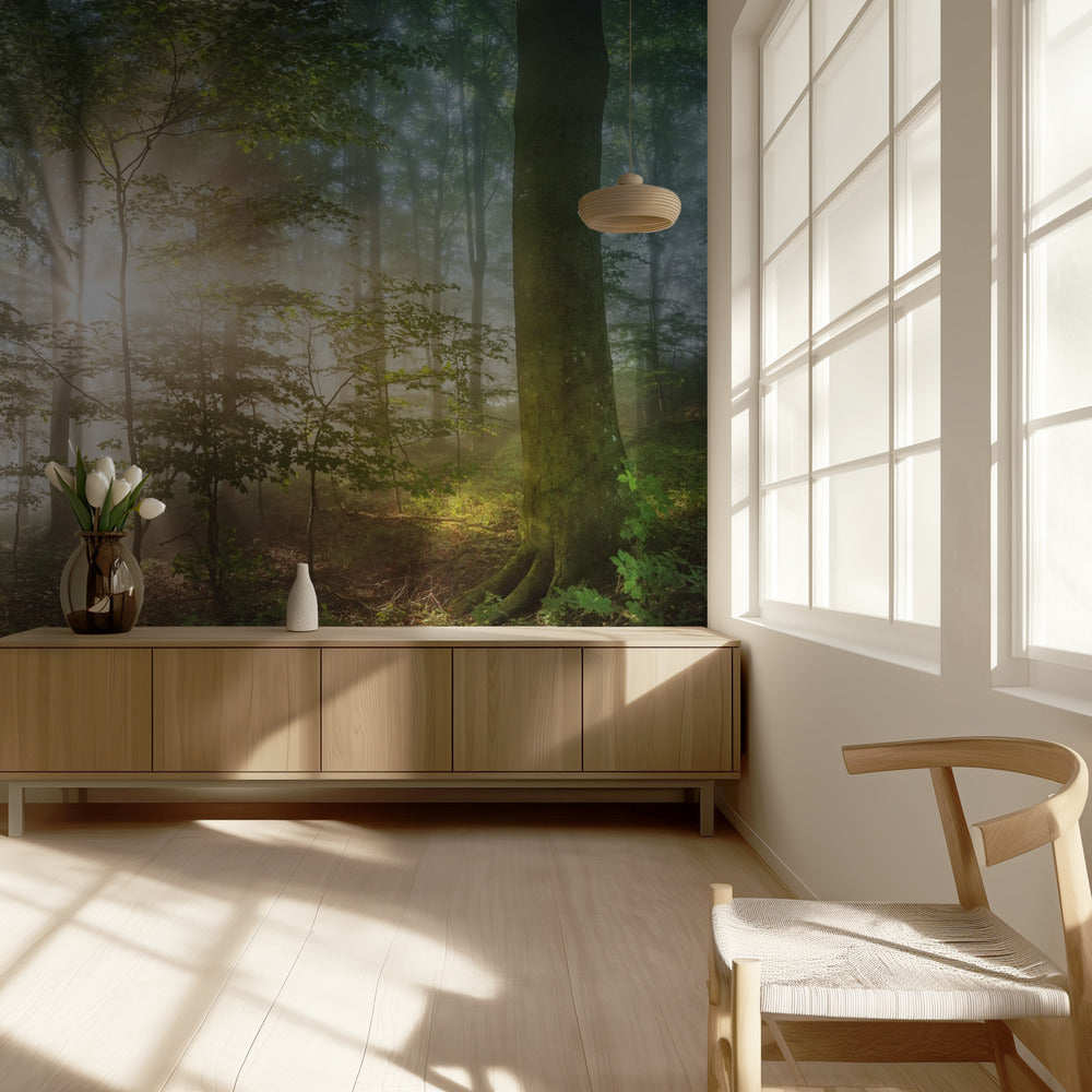 ochtendzon | Behang