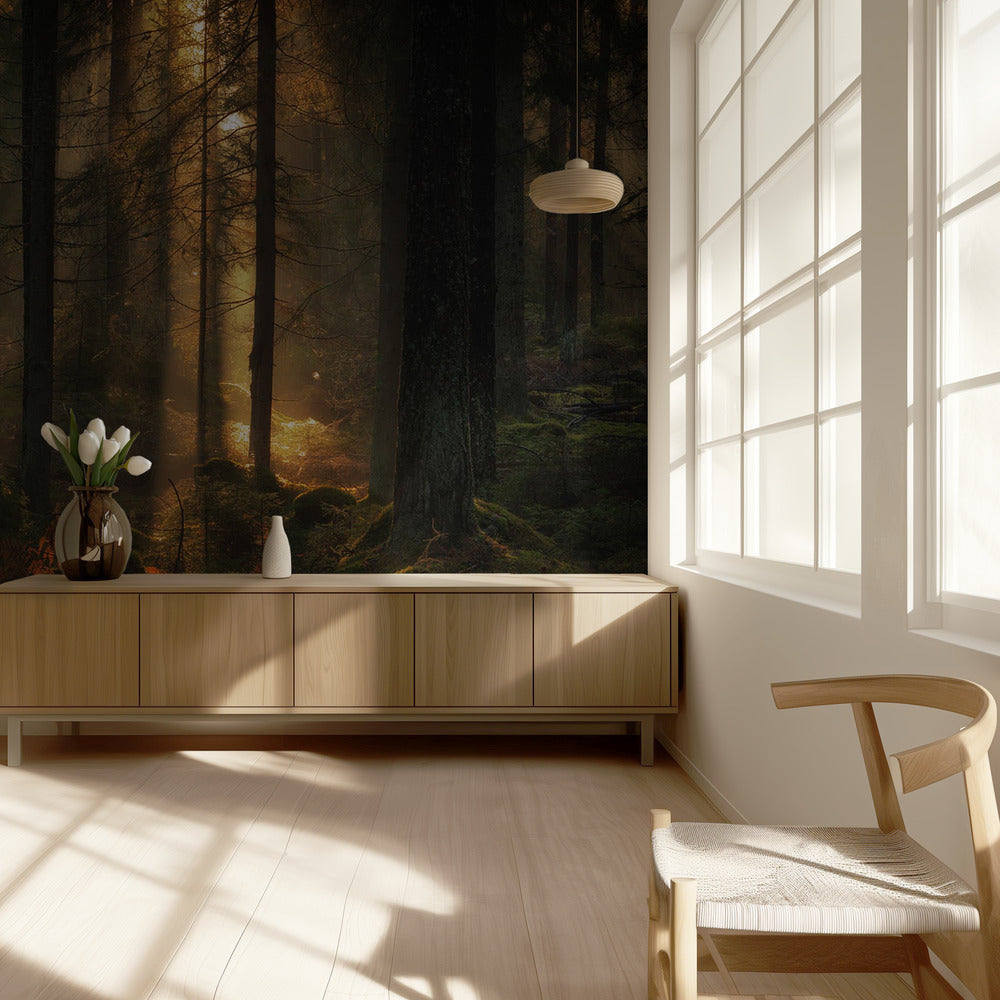 Het licht in het bos | Behang