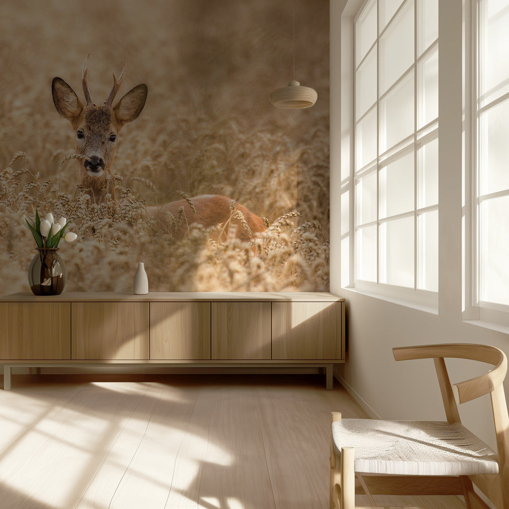 Hert in het veld | Behang
