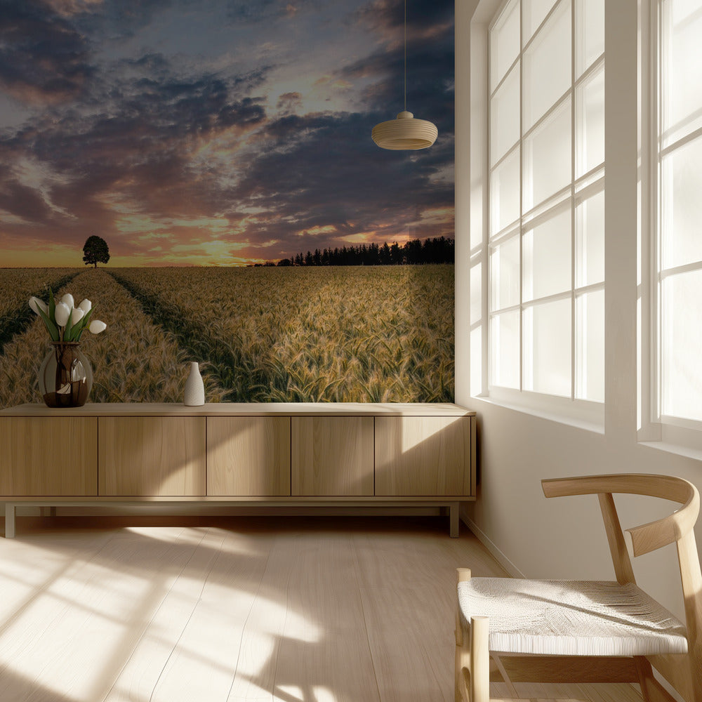 Veld van dromen | Behang