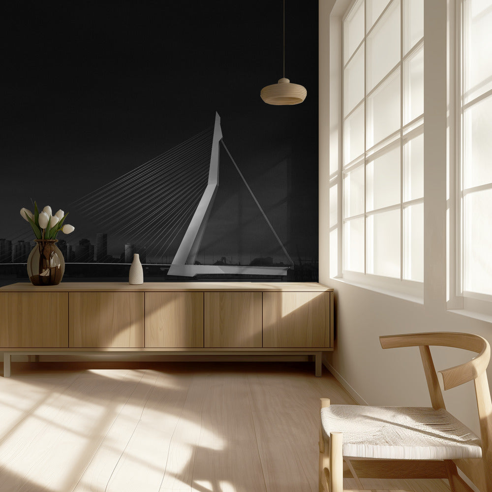 Erasmusburg | Behang