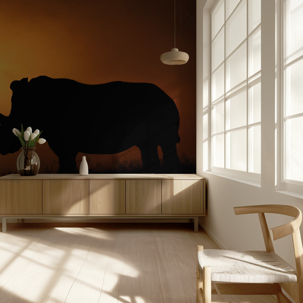 Neushoorn Zonsopgang | Achtergrond