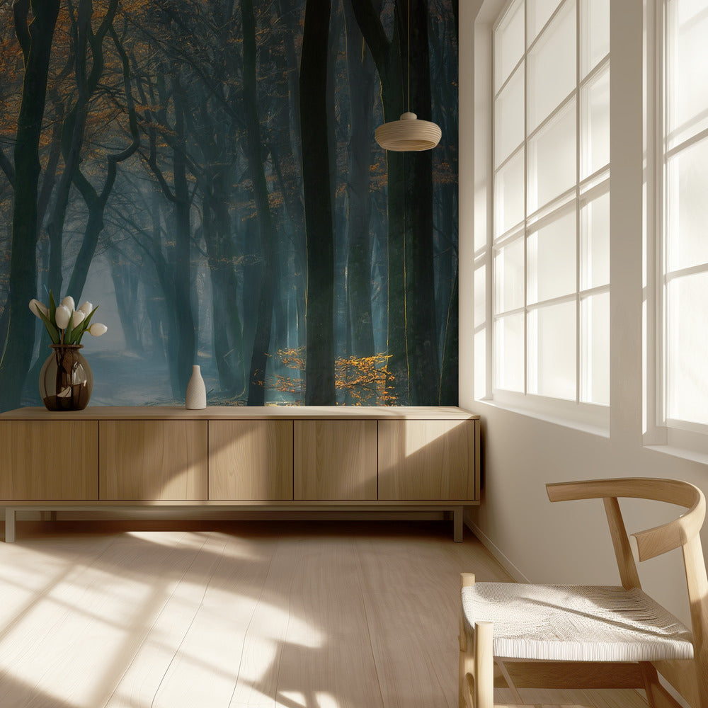 Koud licht | Behang