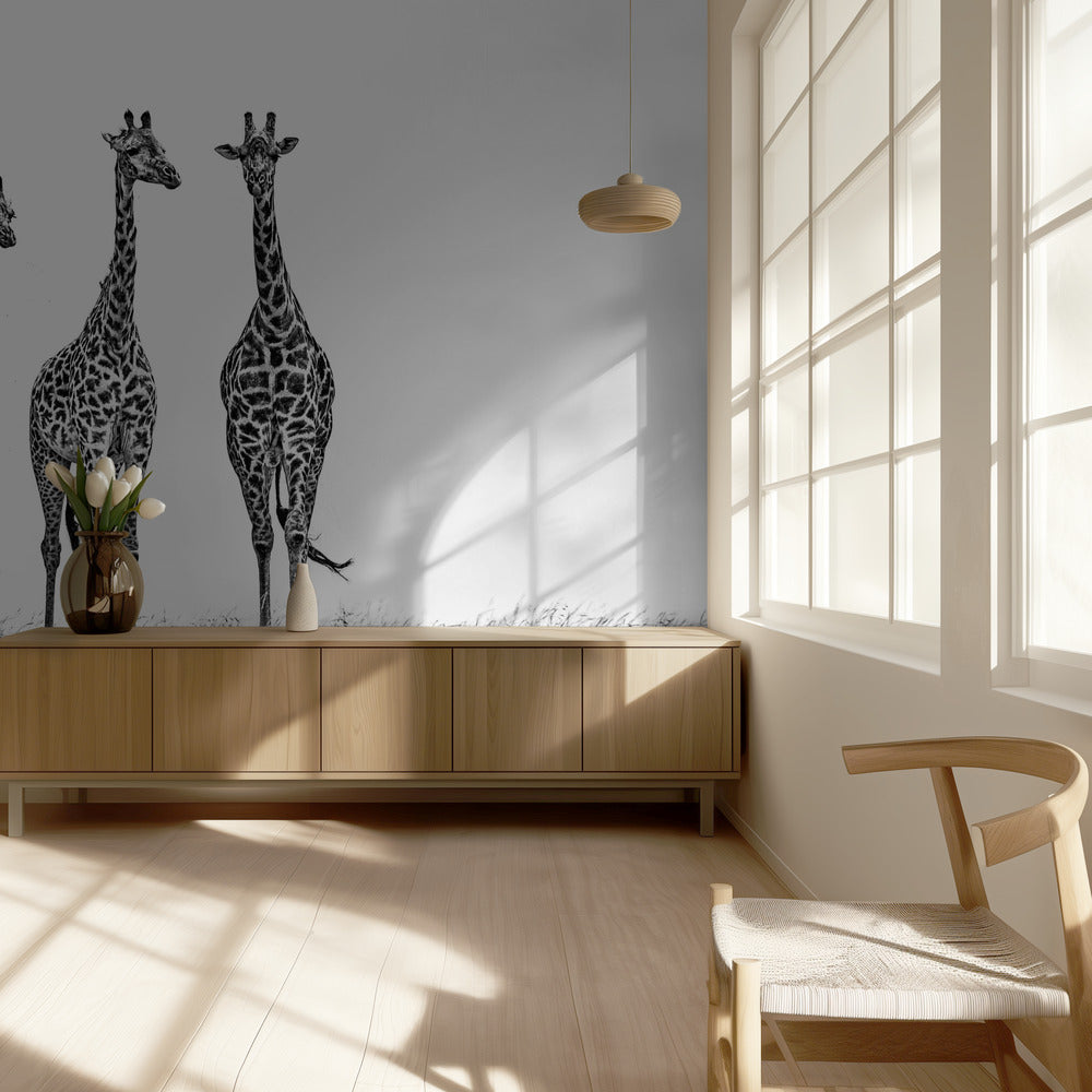 Giraffen in de Mara-vlakten | Achtergrond