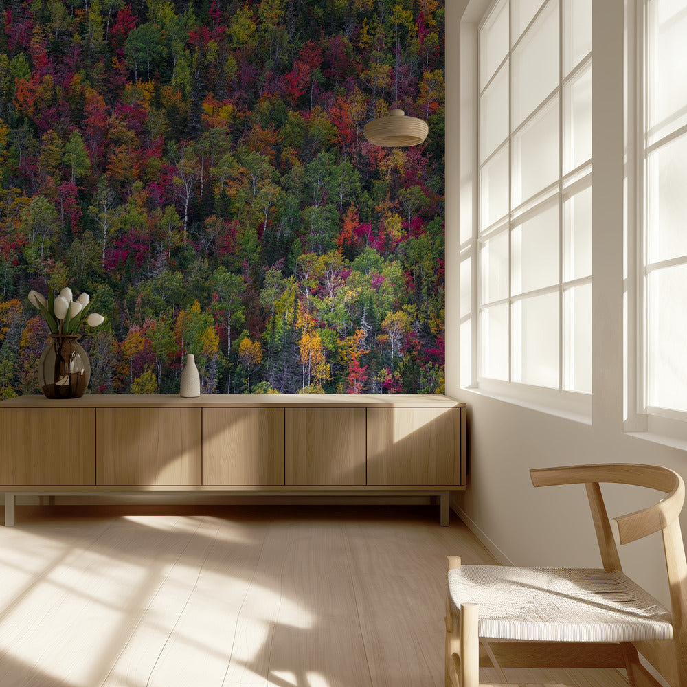 Kleurenpalet | Behang