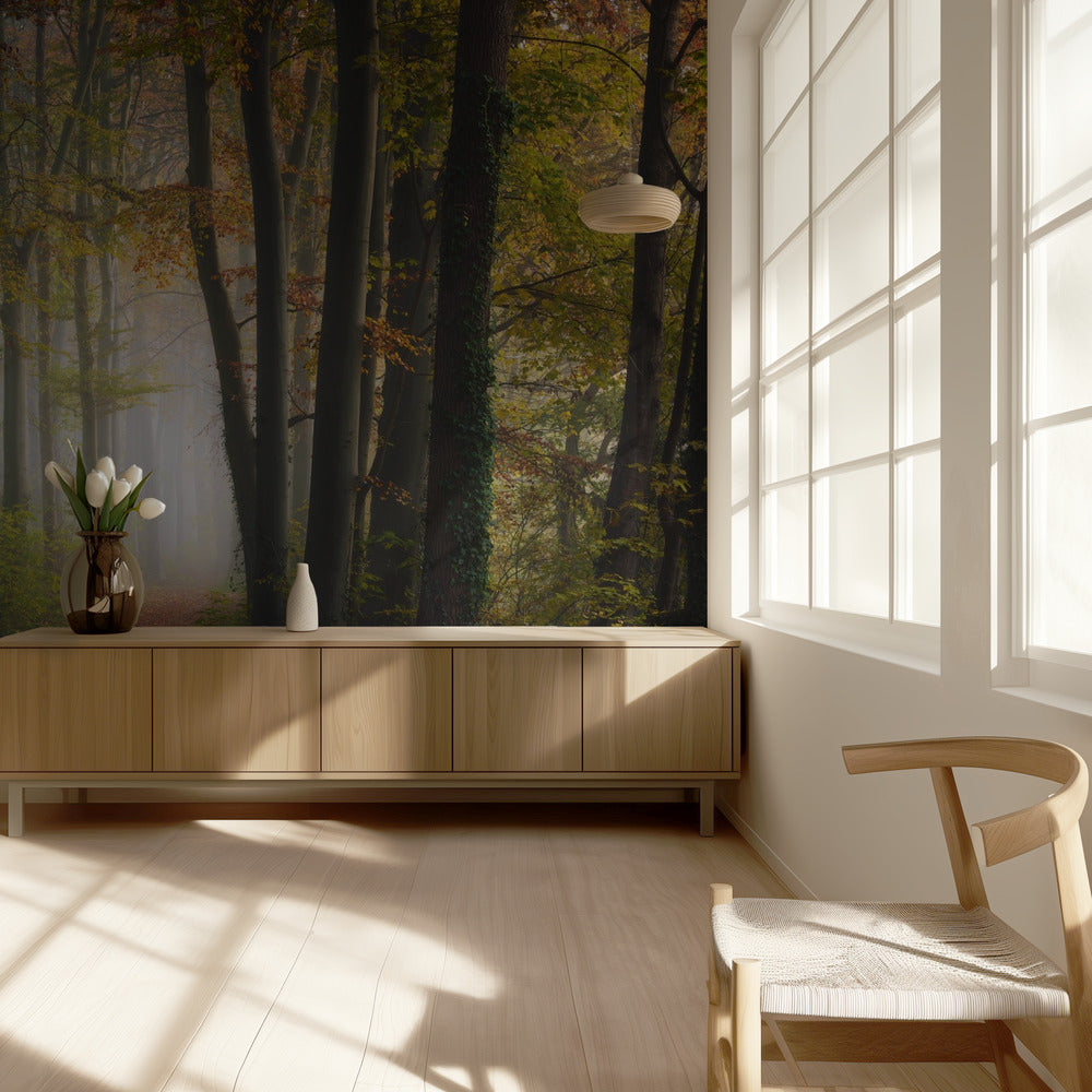 Herfst kleurrijk bos | Behang