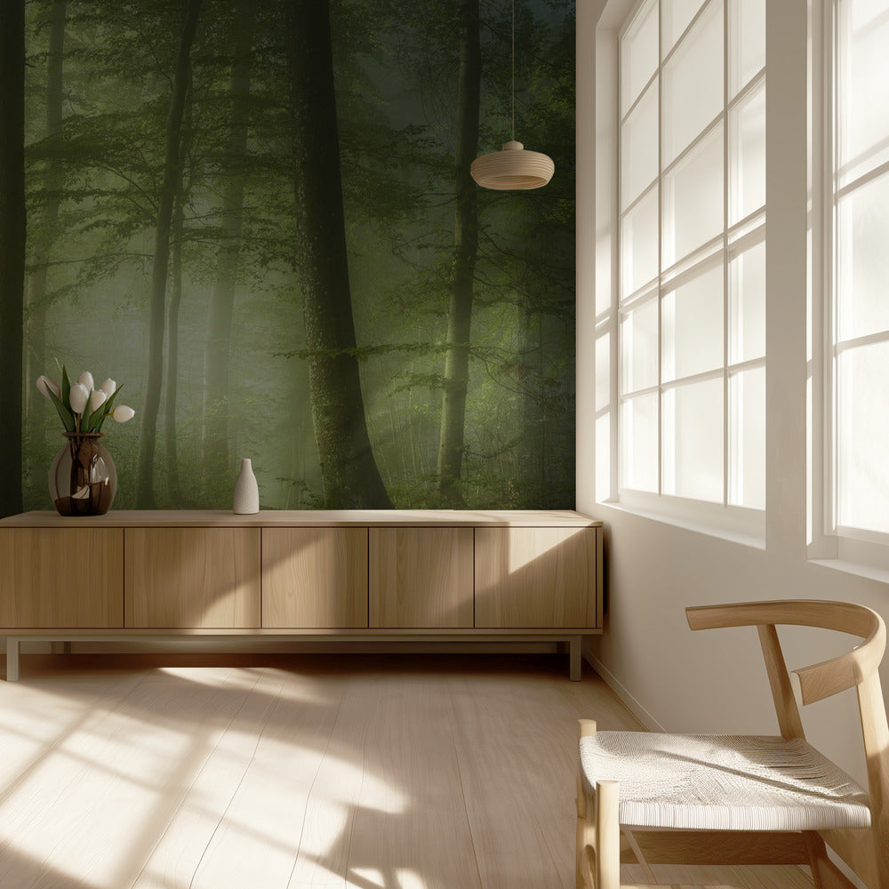 Mysterieuze lentemorgen | Behang