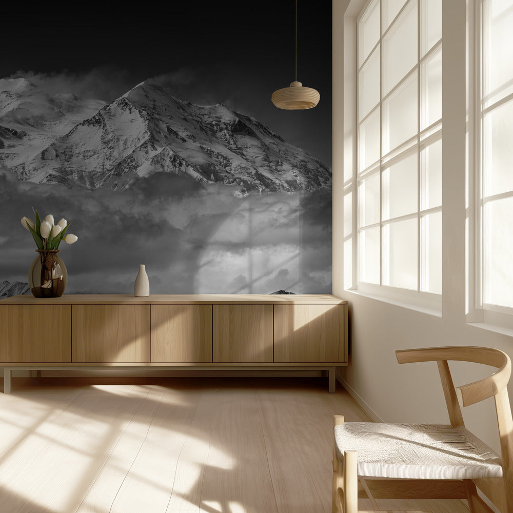 Denali vanaf de tegenoverliggende bergkam | Achtergrond