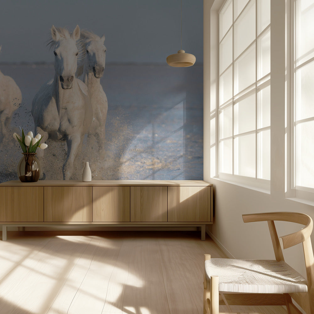 paarden | Behang